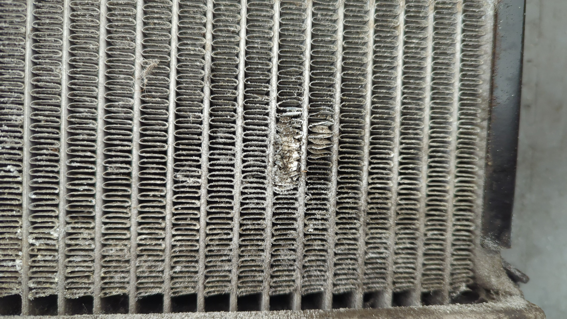 Радиатор охлаждения двигателя основной