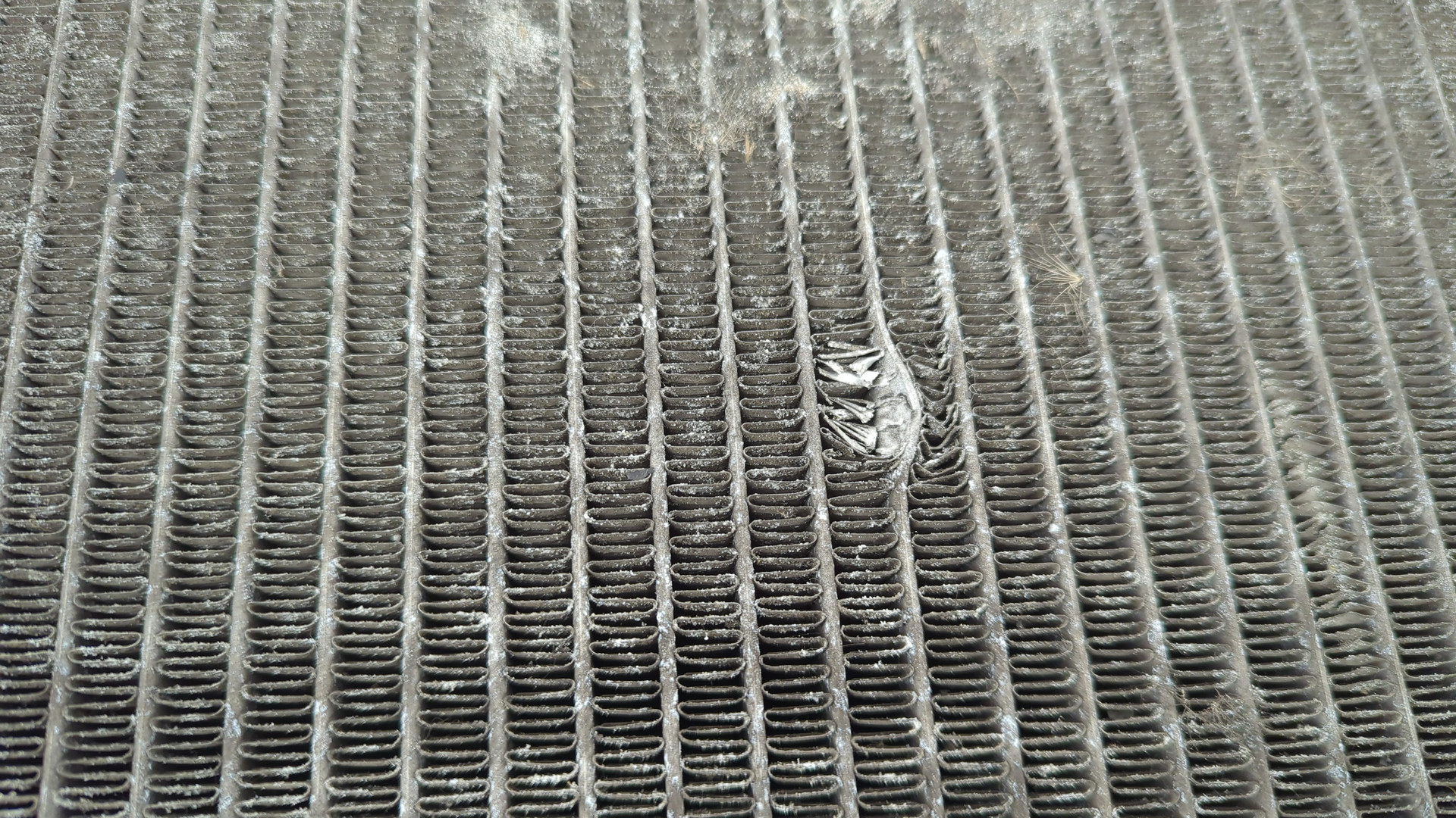 Радиатор охлаждения двигателя основной