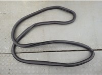 LJ7Z78253A10C Уплотнитель Lincoln Corsair 2019-2023 20737348 #1