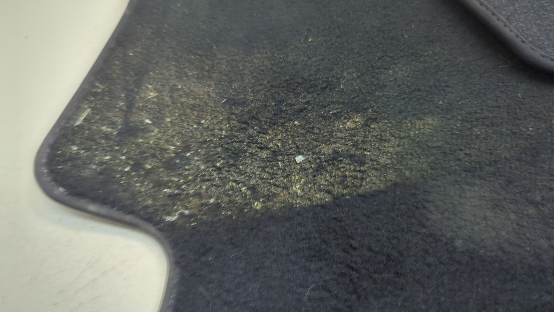 Покрытие напольное (ковролин)