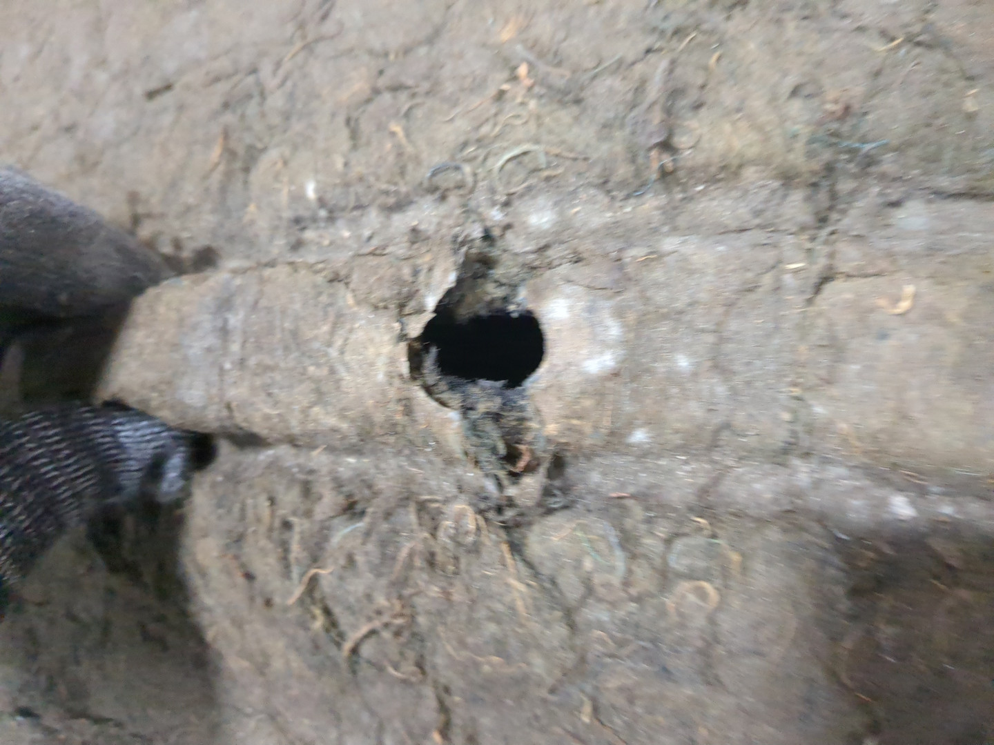 Шумоизоляция капота