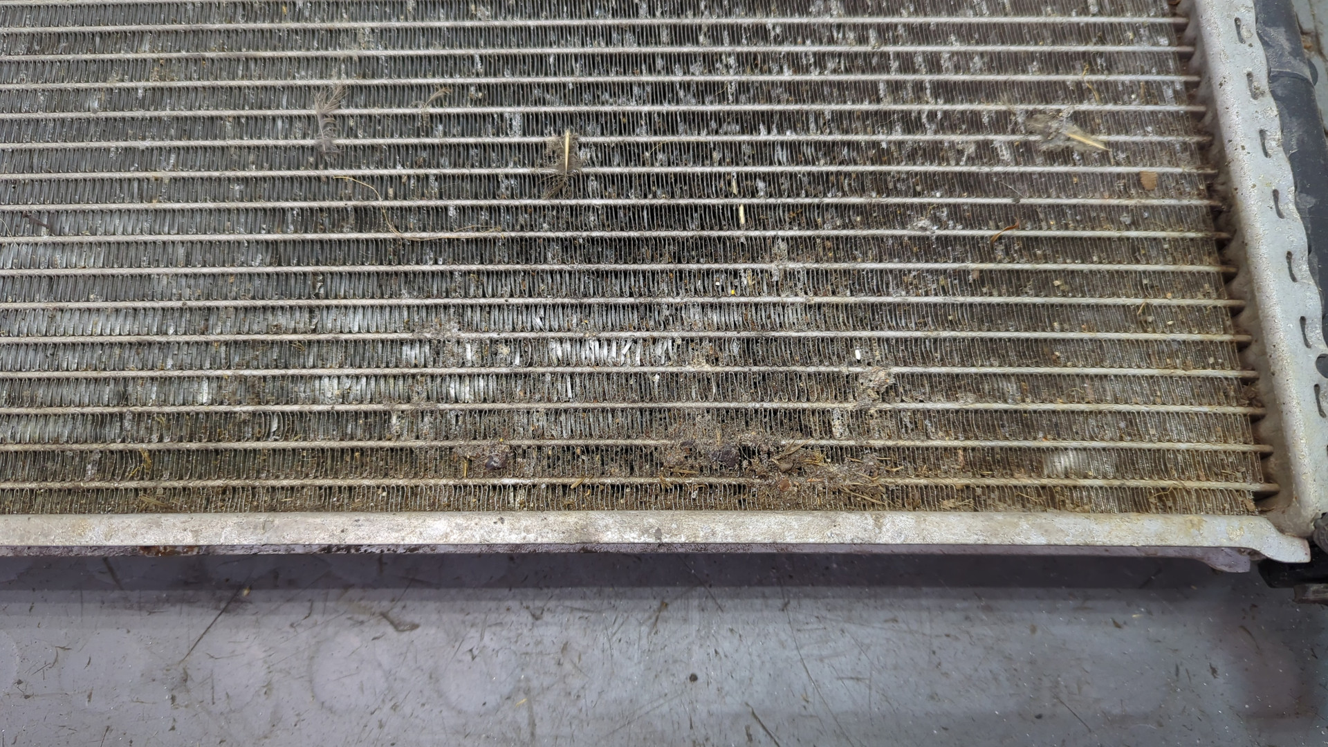 Радиатор охлаждения двигателя основной