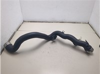 60004770 Патрубок интеркулера Buick Encore GX 2019-2024 20745131 #5