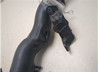 60004770 Патрубок интеркулера Buick Encore GX 2019-2024 20745131 #7