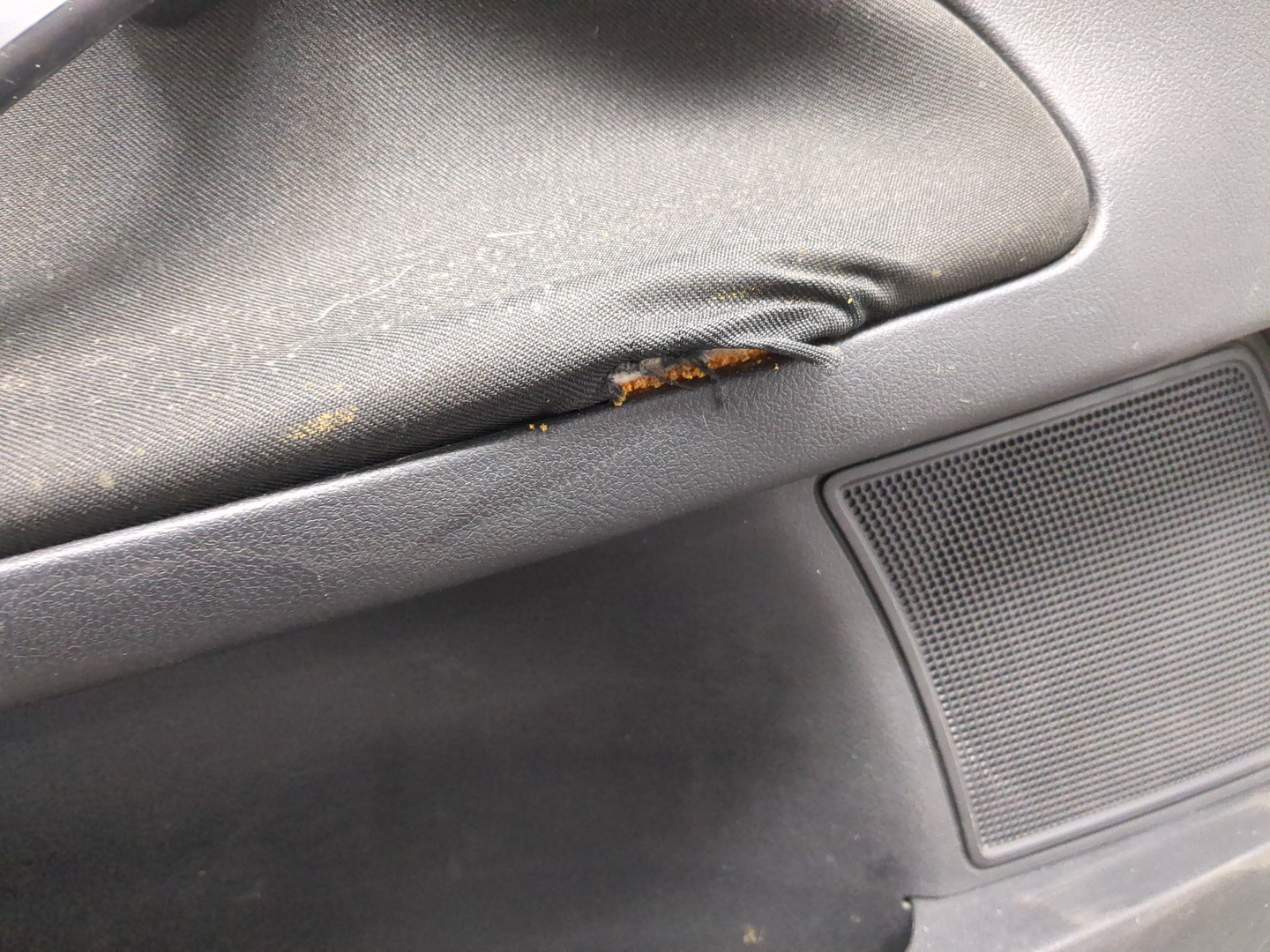 Дверь передняя левая