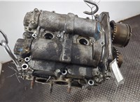 11018AA590 Головка блока (ГБЦ) Subaru Forester (S13) 2012-2019 20748082 #1