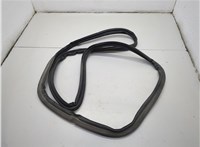  Уплотнитель Acura ILX 2018-2025 20749729 #1