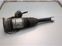 4E0616001E Амортизатор подвески Audi A8 (D3) 2002-2010 20750981 #3