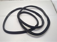  Уплотнитель Acura ILX 2018-2025 20752327 #1