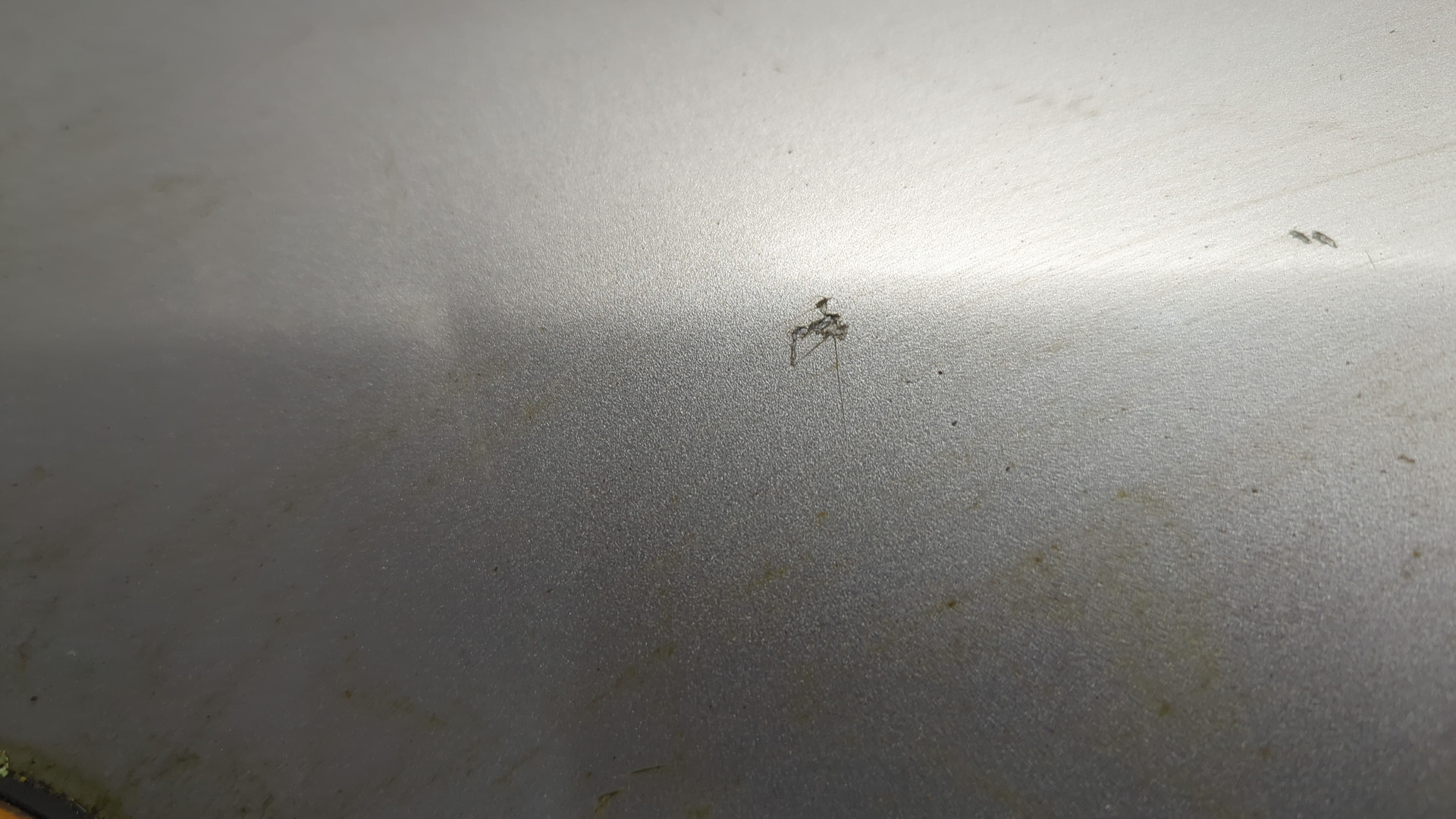 Крыло переднее правое