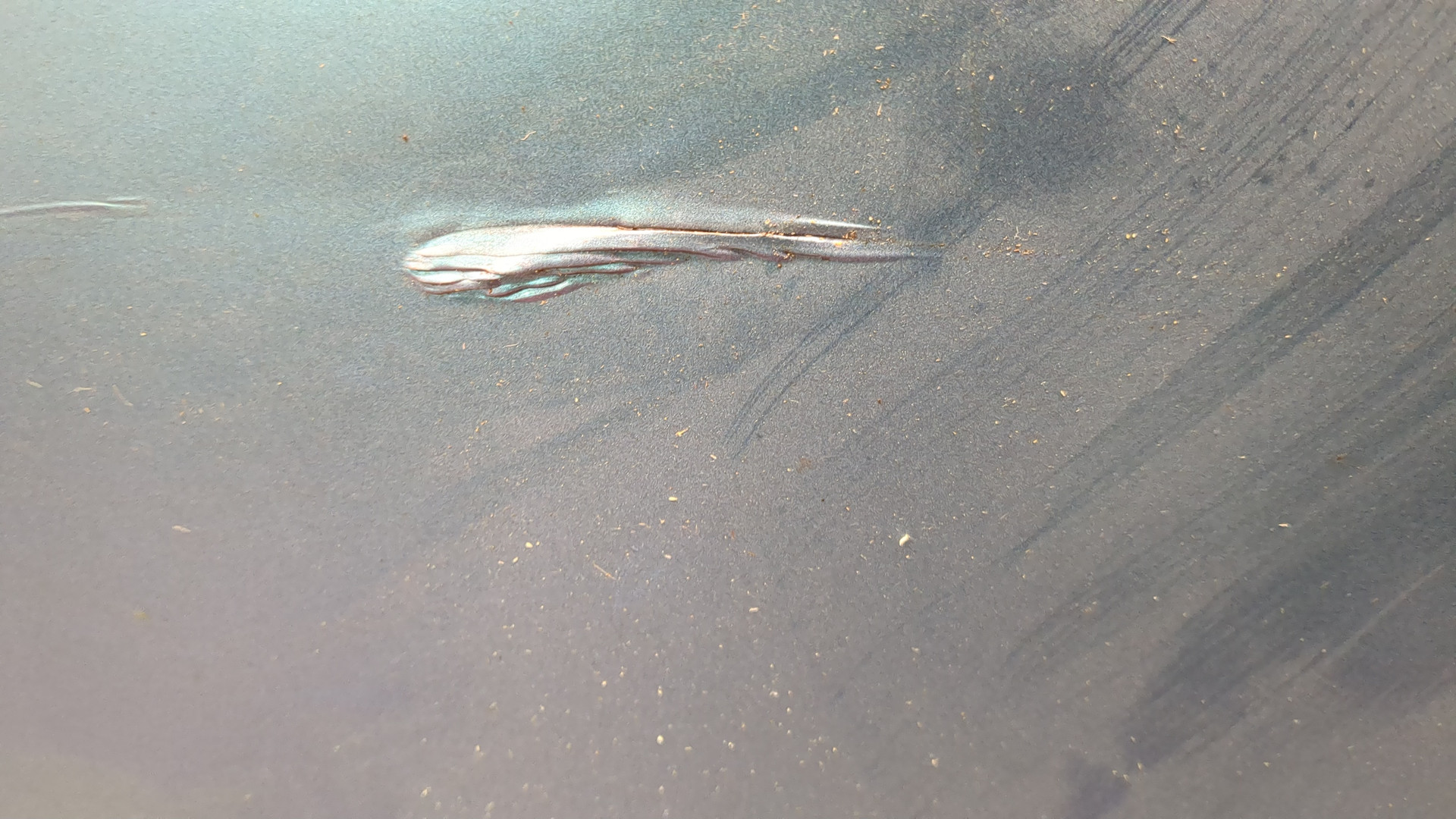 Дверь передняя левая