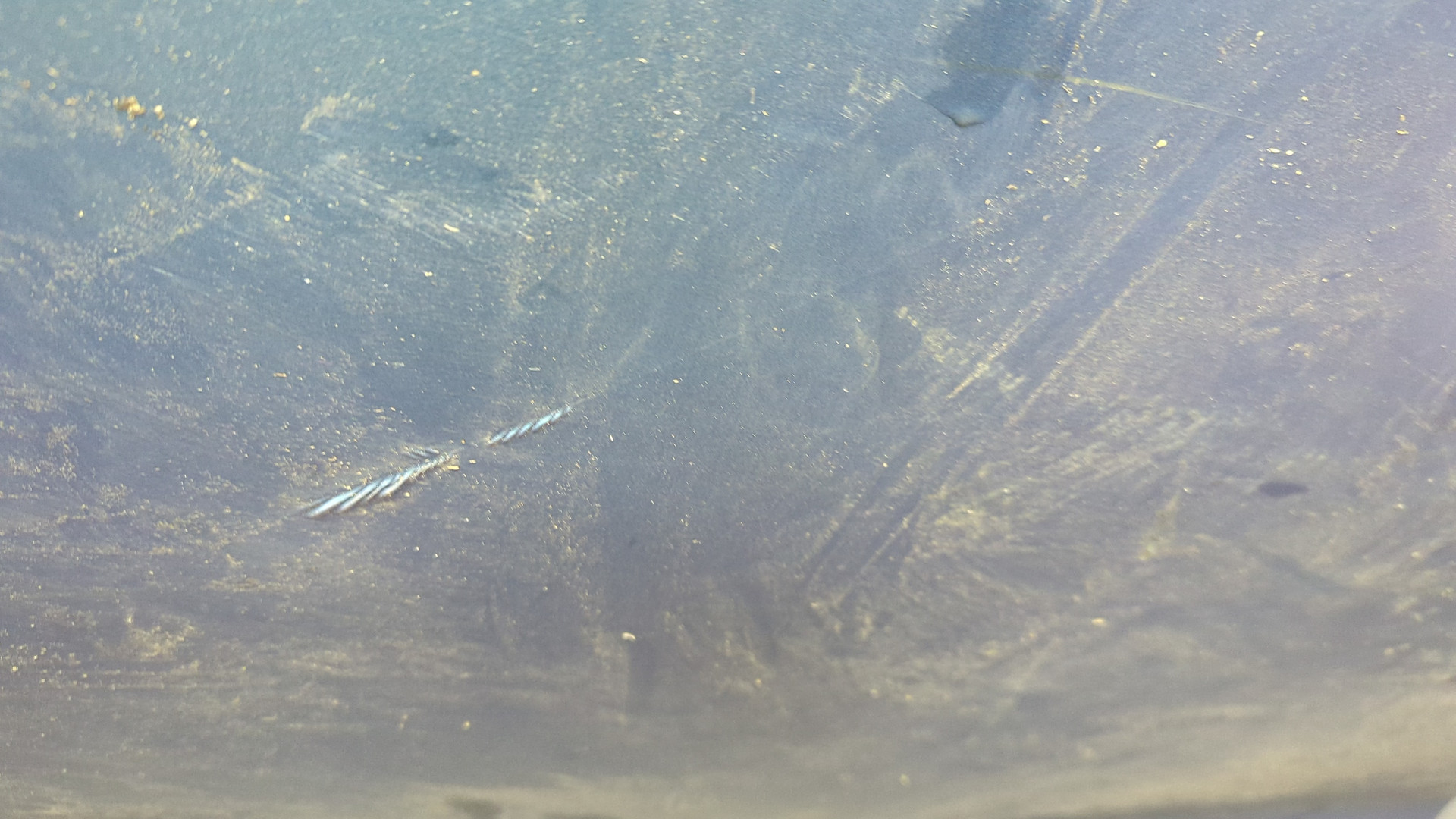 Дверь задняя правая