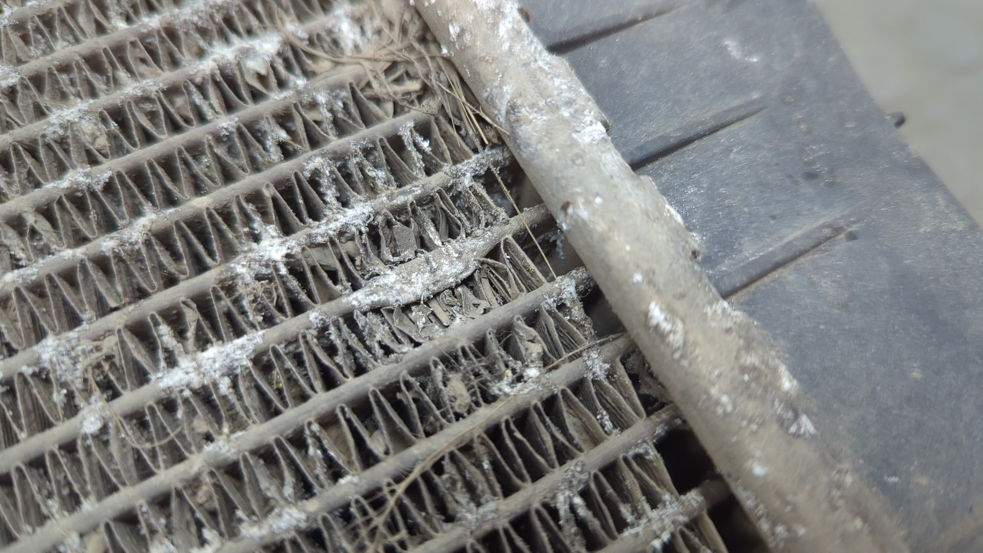 Радиатор охлаждения двигателя основной