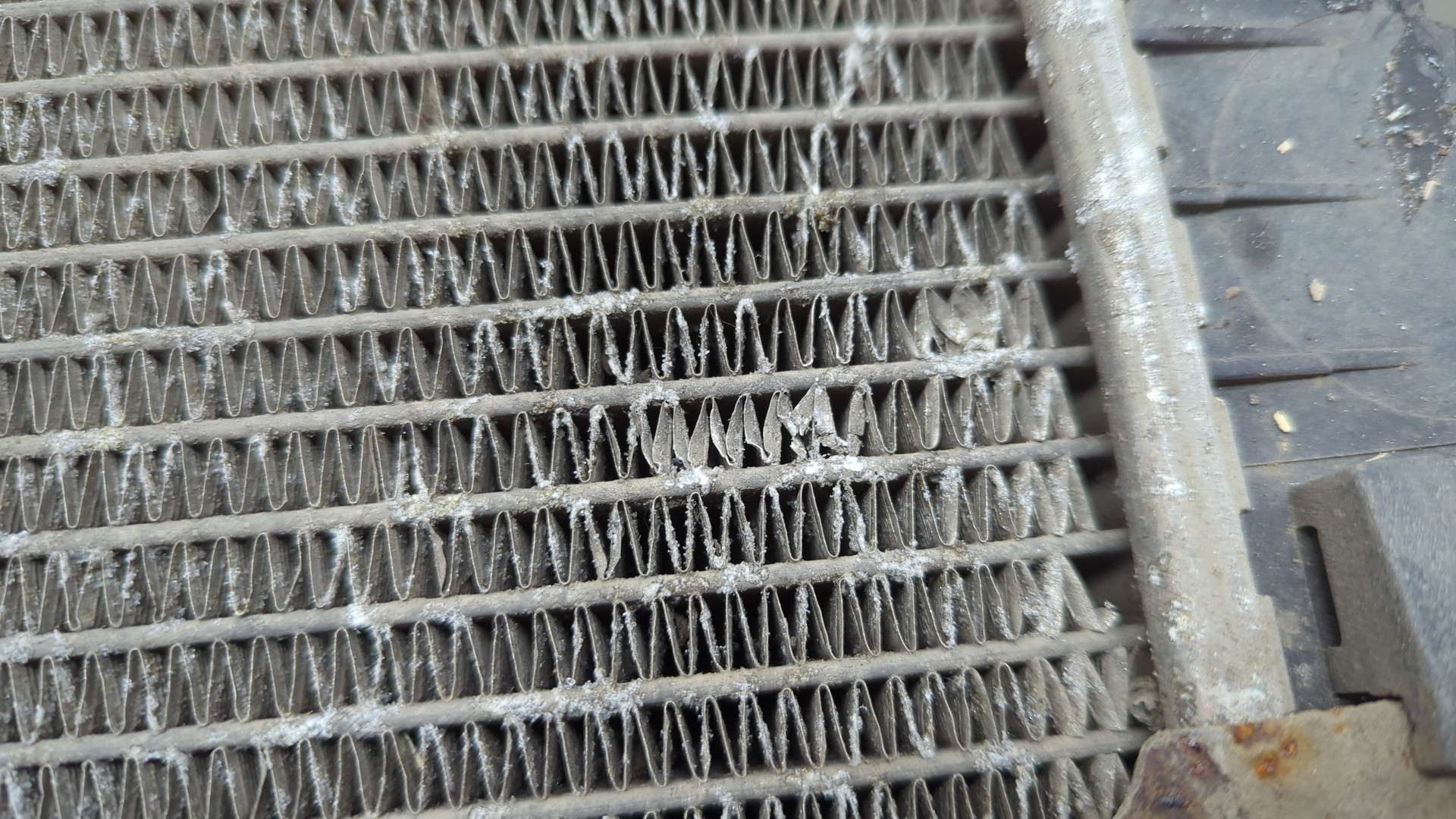 Радиатор охлаждения двигателя основной