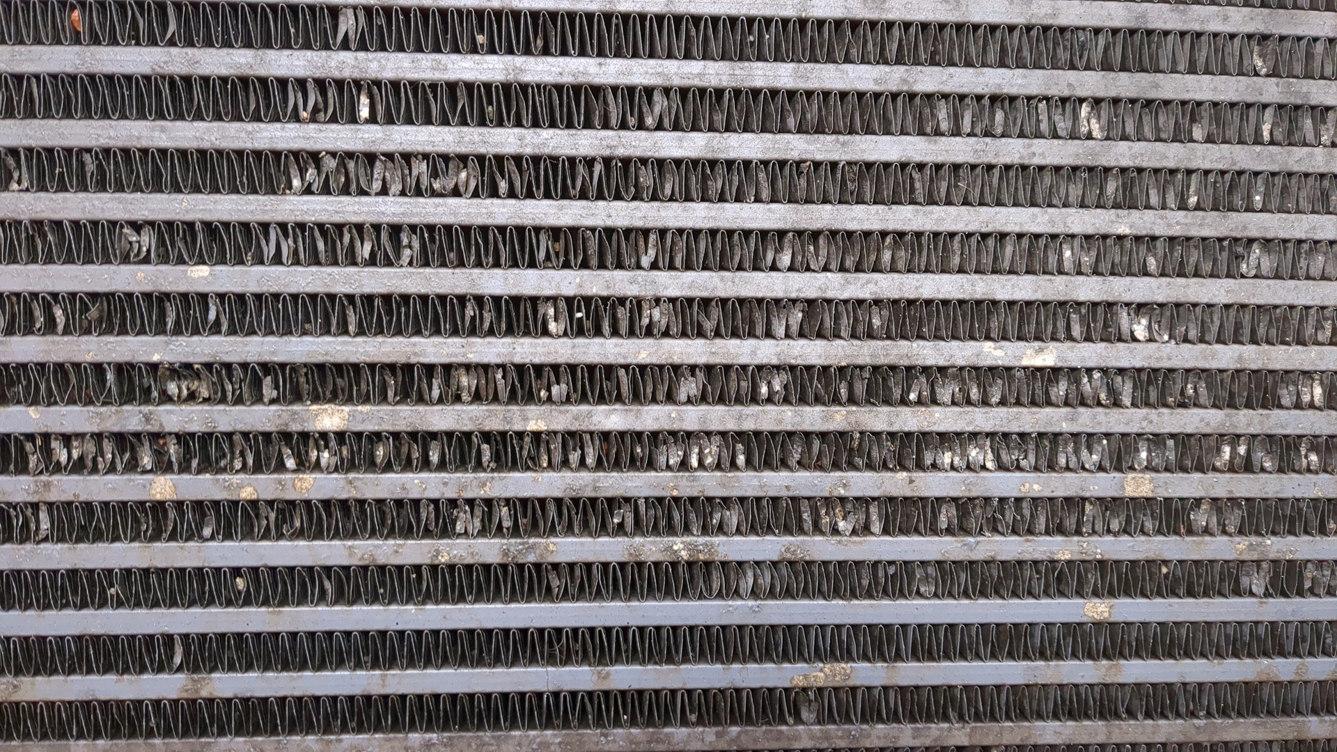 Интеркулер