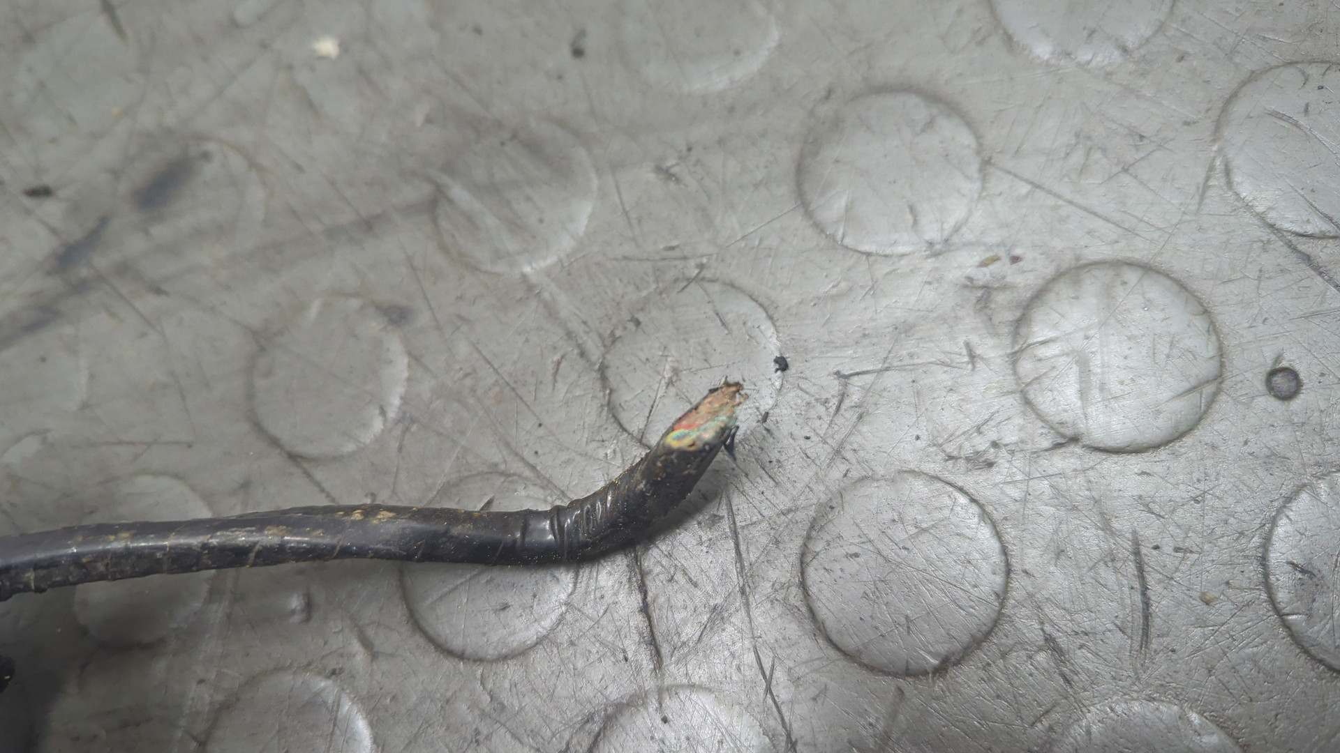 Моторчик стеклоочистителя передний