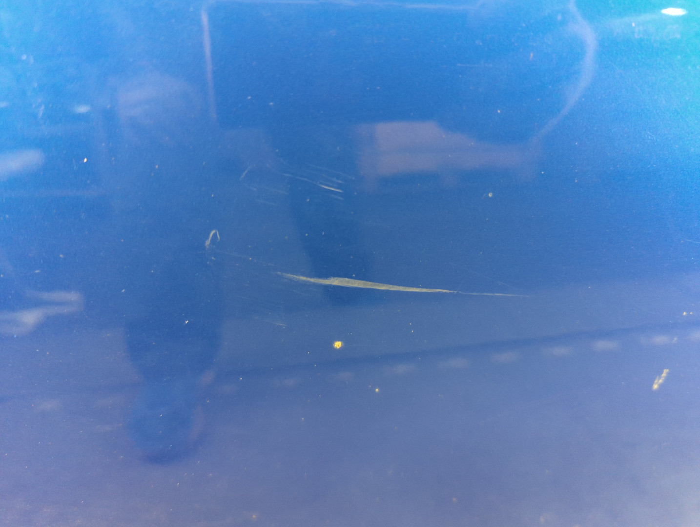 Дверь передняя правая