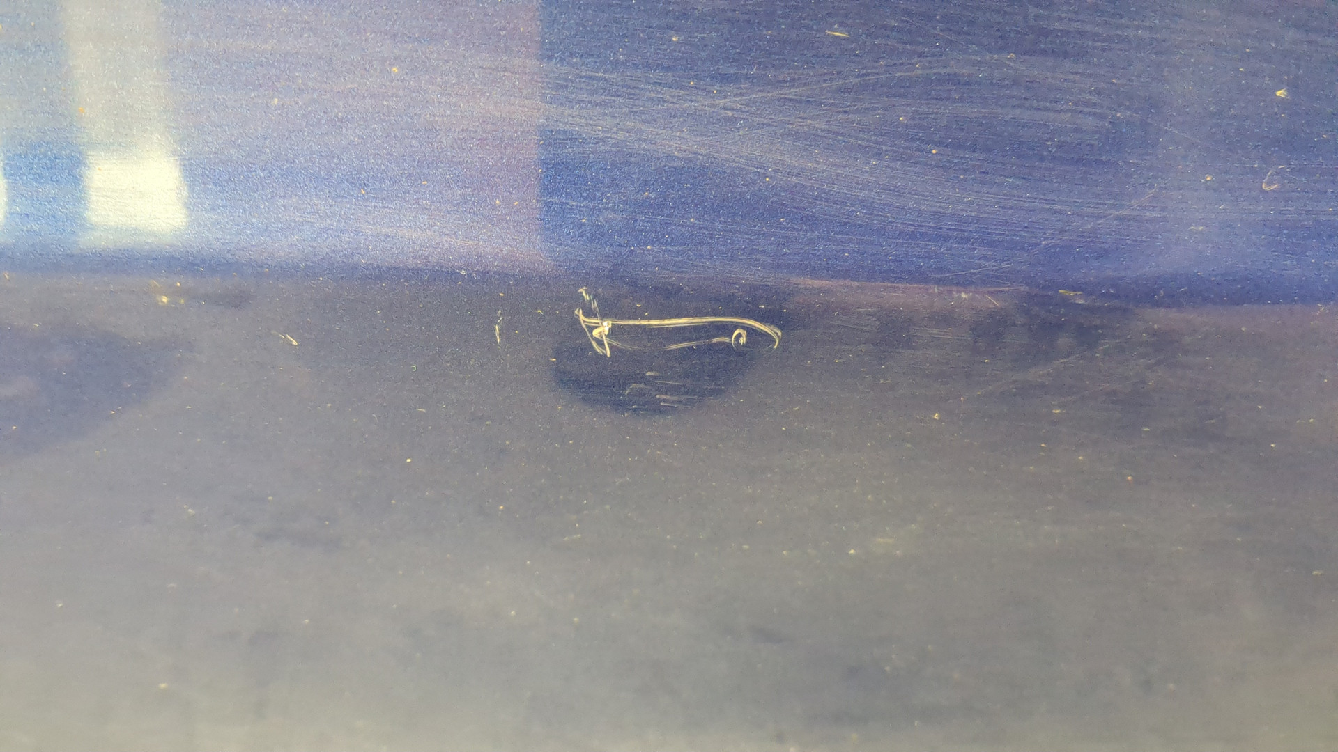 Дверь передняя левая