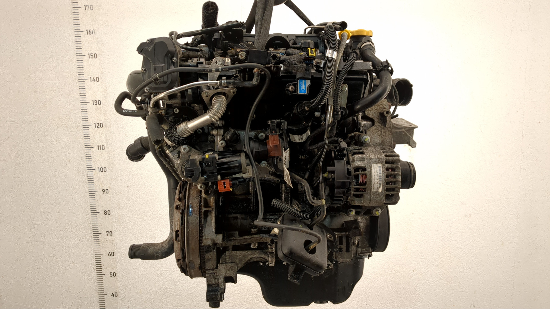 AP-0017087668 AP-0017087668