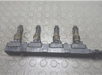 1208020, 24420584, 0221503472, 93177212 Катушка зажигания Opel Tigra 2004-2009 20759961 #1