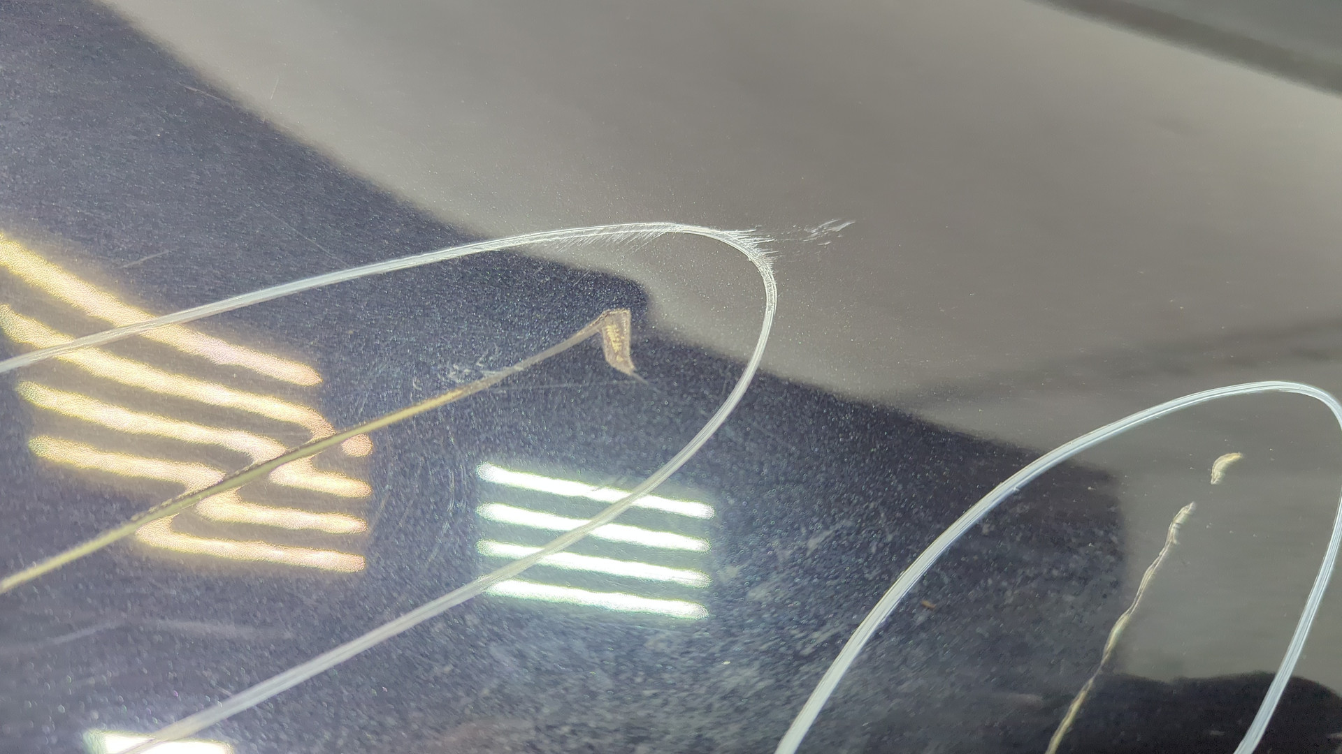 Крыло переднее правое