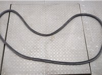  Уплотнитель Honda Civic 2015-2022 20764496 #1