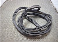 CJ54S25324AE Уплотнитель Ford Escape 2015-2019 20764688 #3