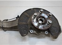 103060600D Кулак поворотный Tesla Model S 2012-2016 11586095 #1