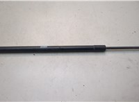 FB5378406A11AF Амортизатор капота Ford Explorer 2015-2019 20765534 #1