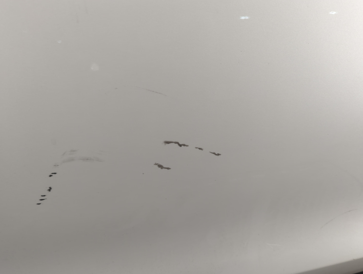 Дверь передняя левая