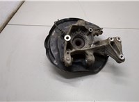 8J0598625, 3C0505433G, 5N0615611D Ступица (кулак, цапфа) Volkswagen Tiguan 2007-2011 20766294 #2
