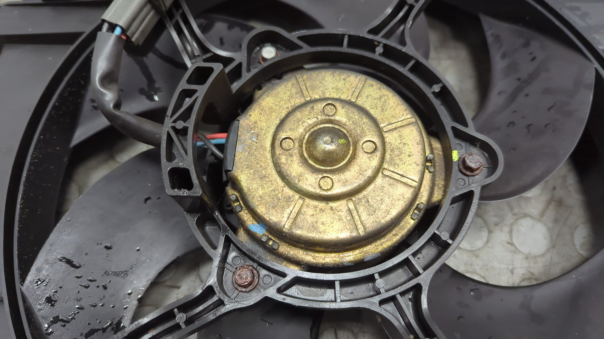 Вентилятор радиатора