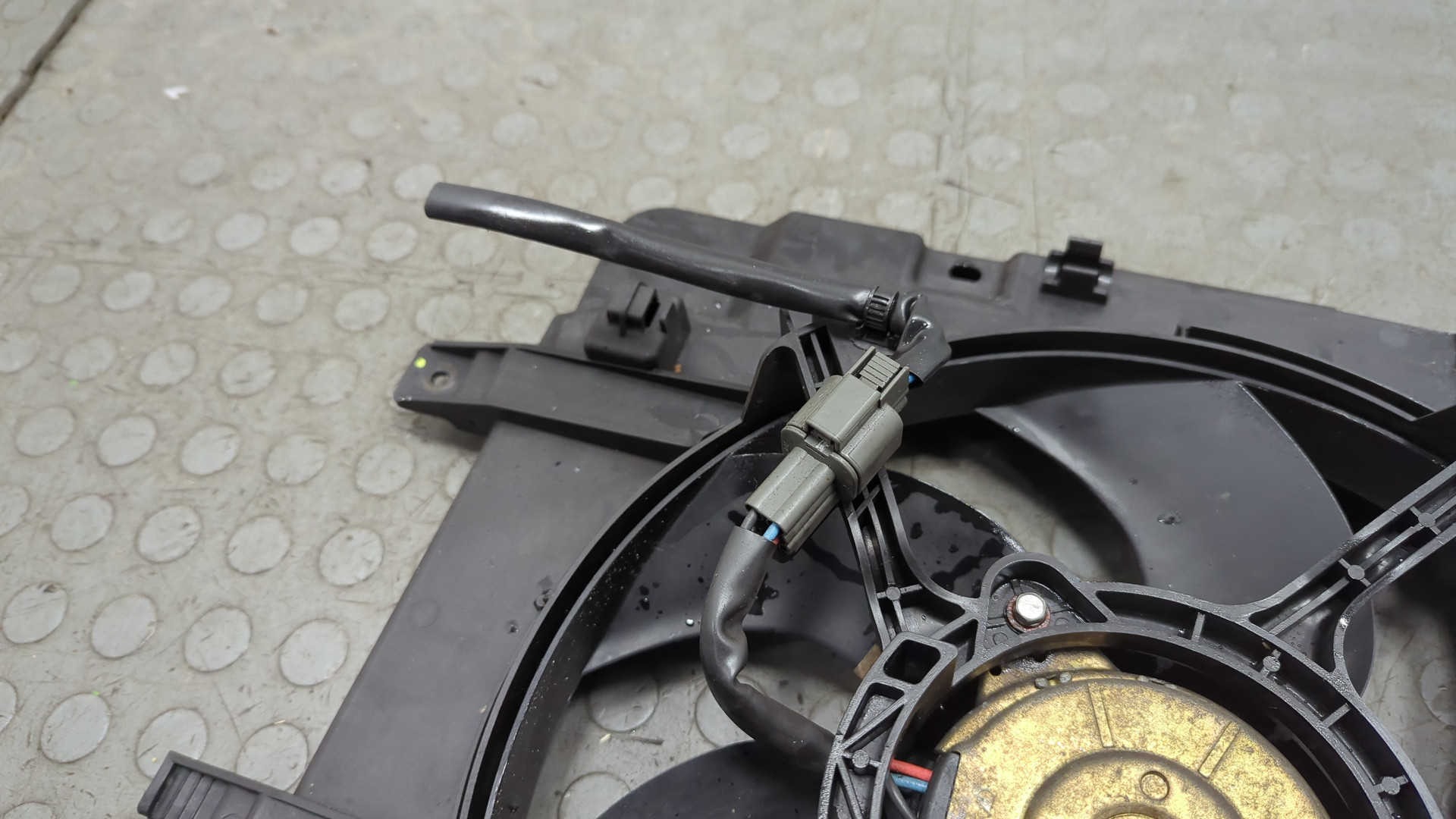 Вентилятор радиатора