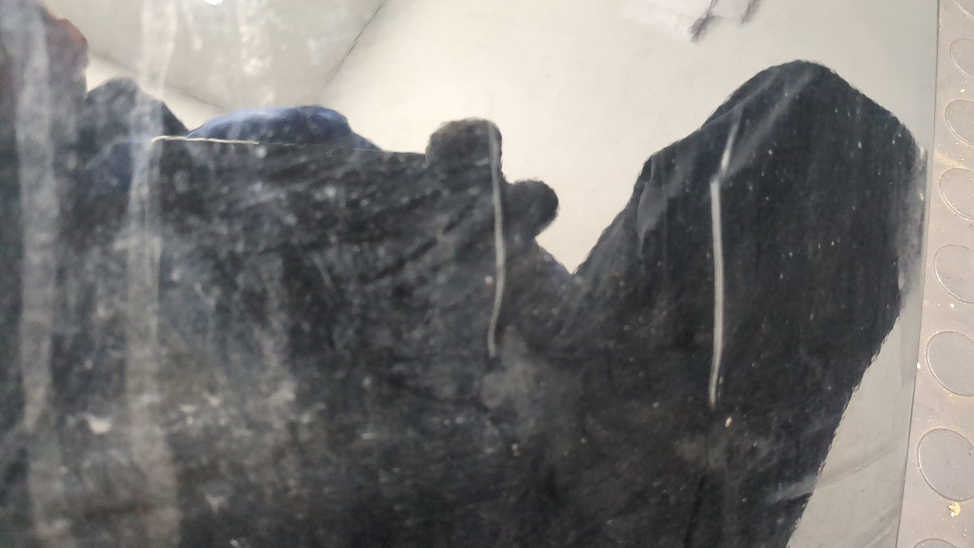 Дверь багажника