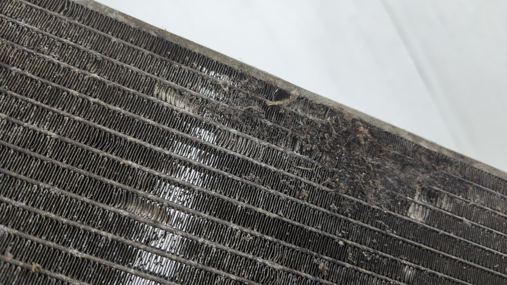 Радиатор охлаждения двигателя основной