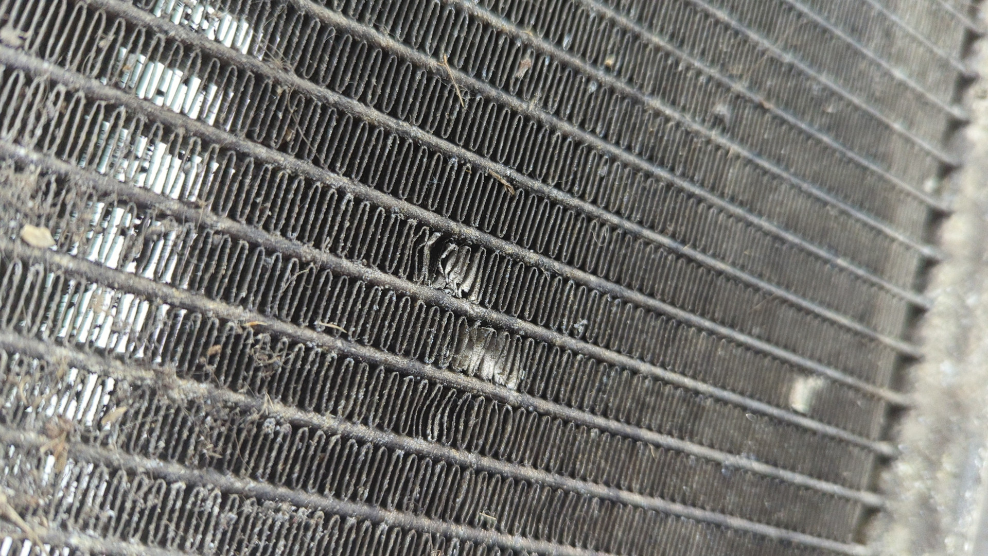 Радиатор охлаждения двигателя основной