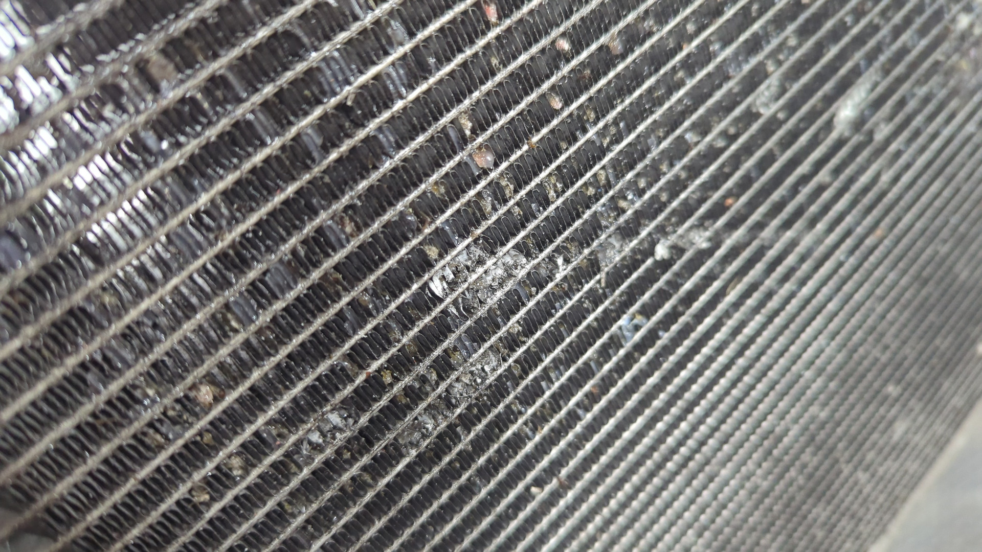 Радиатор охлаждения двигателя основной