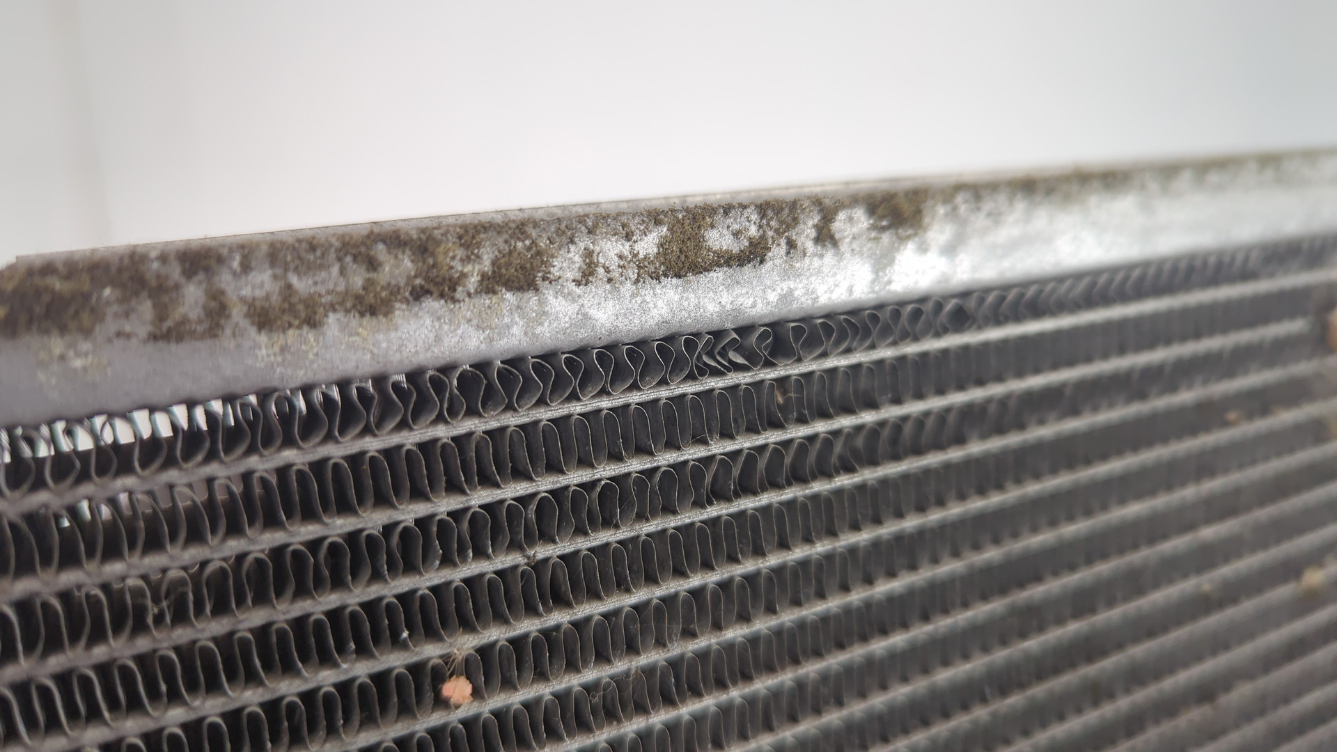 Радиатор охлаждения двигателя основной