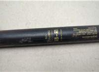 15861154 Амортизатор крышки багажника Cadillac STS 2004-2011 20772419 #2