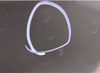 1L2Z16738AA Обшивка капота Ford Explorer 2001-2006 11589659 #11