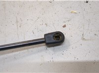 561827550B Амортизатор капота Volkswagen Passat 7 2010-2019 Америка 20774097 #2