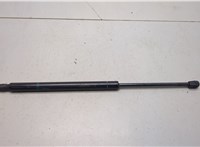 15120903 Амортизатор капота GMC Terrain 2017-2024 20776723 #1