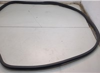 Уплотнитель Acura ZDX 2009-2013 20779594 #1