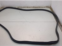  Уплотнитель Acura ZDX 2009-2013 20779594 #2