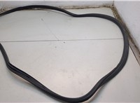  Уплотнитель Acura ZDX 2009-2013 20779600 #1