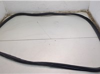  Уплотнитель Acura ZDX 2009-2013 20779600 #2