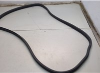  Уплотнитель Acura ZDX 2009-2013 20779601 #1
