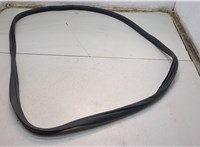  Уплотнитель Acura ZDX 2009-2013 20779605 #1
