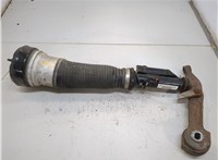 A2203202438 Амортизатор подвески Mercedes S W220 1998-2006 20780340 #1