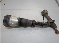 A2203202438 Амортизатор подвески Mercedes S W220 1998-2006 20780377 #1